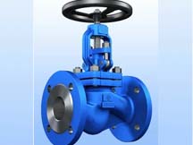 Globe Valve Manufacturer in India