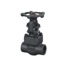 ASTM A105 Valve Manufacturer in USA