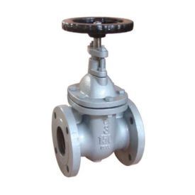 Cast iron valves Manufacturer in USA