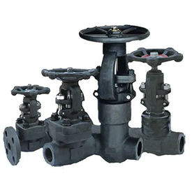 Carbon Steel Valves Manufacturer in USA