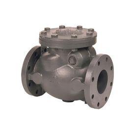 Check valves Manufacturer in USA