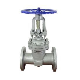 Globe valves Manufacturer in USA