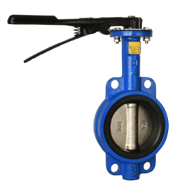 Stainless Steel Butterfly Valve Manufacturer in USA