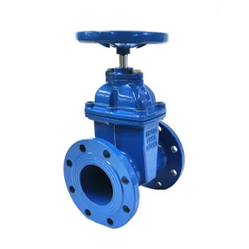 Stainless Steel Gate Valve Manufacturer in USA